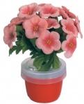 scent flower